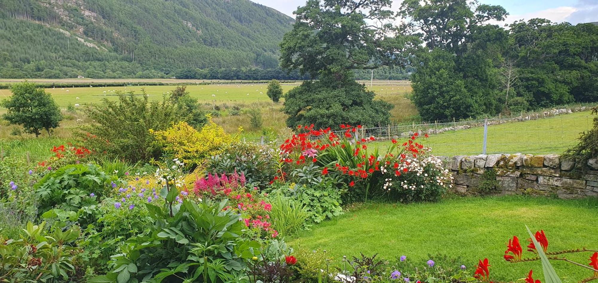 Clachan Farmhouse B & B Ullapool Exterior foto